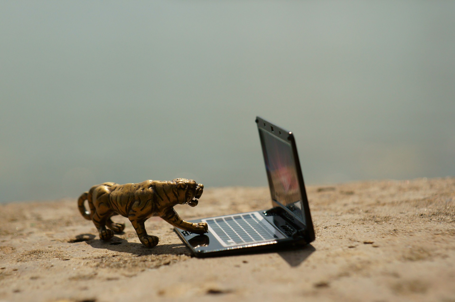 A tiger figurine and a laptop close-up.